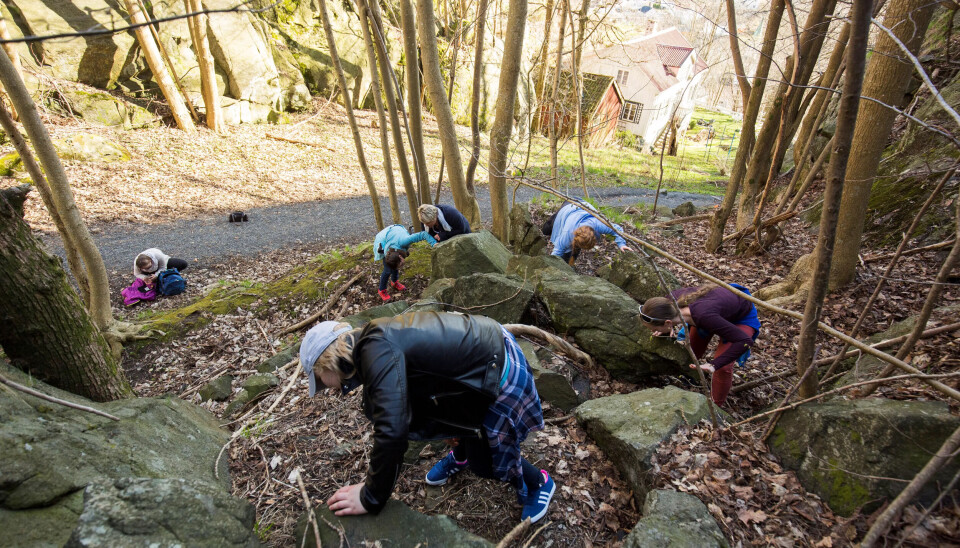 LETE, LETE: Alle leter iherdig etter den utlagte geochacen. LETE, LETE: Alle leter iherdig etter den utlagte geochacen.