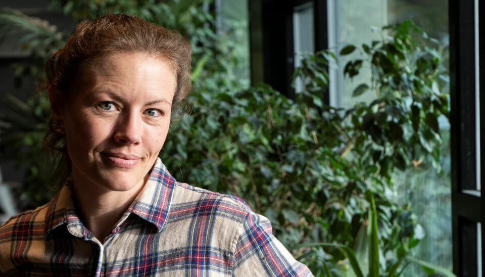 BER REGJERINGEN TA GREP: Erika Mortensen mener regjeringen bør stille strengere krav til pensjonsvilkårene i de private barnehagene, dersom PBL ikke går med på de streikendes krav. BER REGJERINGEN TA GREP: Erika Mortensen mener regjeringen bør stille strengere krav til pensjonsvilkårene i de private barnehagene, dersom PBL ikke går med på de streikendes krav.