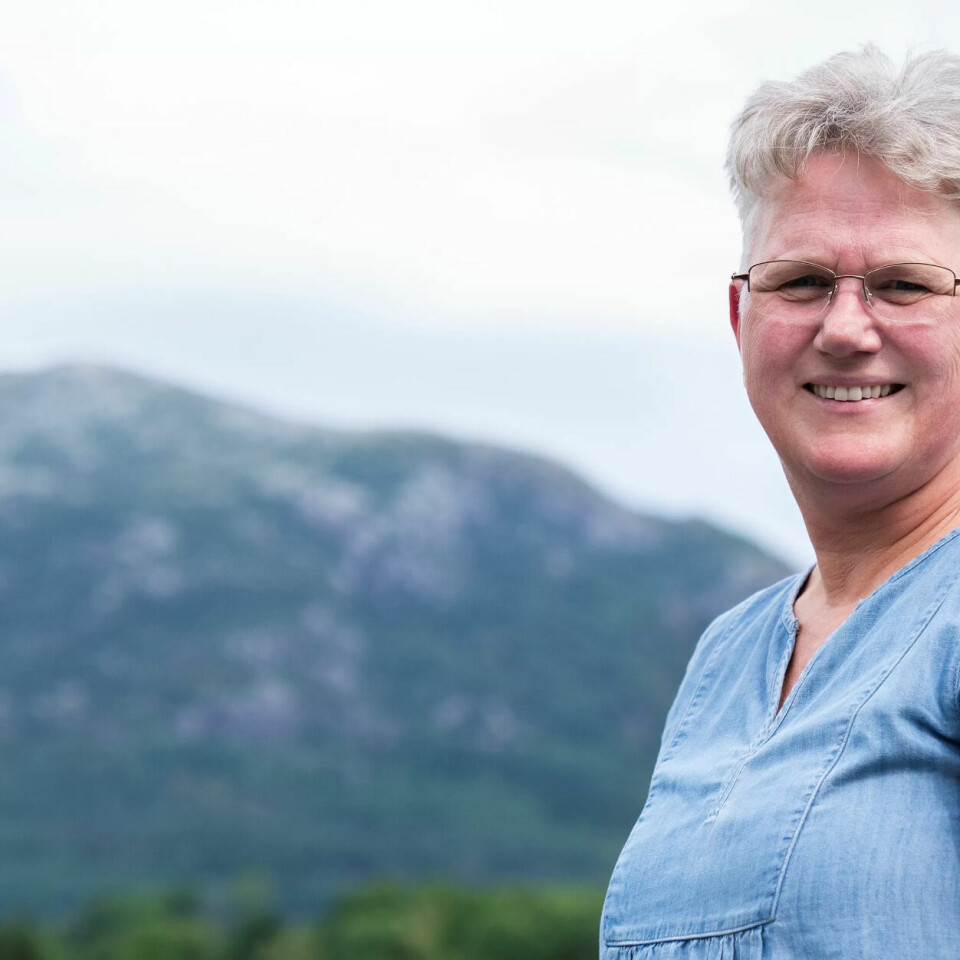 STORTINGET NESTE: Helsefagarbeider og varaordfører i Vindafjord kommune i Rogaland, Tove Elise Madland (56), er spent på om sykehjemsvaktene blir byttet ut med Stortinget denne høsten. STORTINGET NESTE: Helsefagarbeider og varaordfører i Vindafjord kommune i Rogaland, Tove Elise Madland (56), er spent på om sykehjemsvaktene blir byttet ut med Stortinget denne høsten.