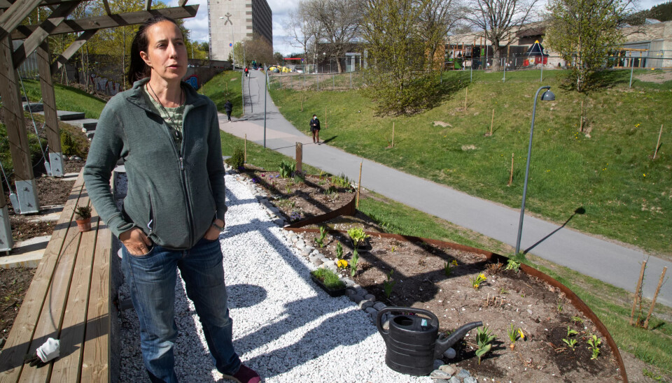 PLANTESJEF: Prosjektleder Frøydis Jørve sørger for at ungdommene kan lære om planter og urter. PLANTESJEF: Prosjektleder Frøydis Jørve sørger for at ungdommene kan lære om planter og urter.