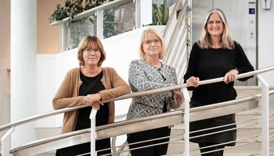 Kommunedirektør Trine Myrvold Wikstrøm, direktør for organisasjon og utvikling Oddny Ruud Nordvik og prosjektleder Heidi Drægebø kan notere en kraftig oppgang i deltidsarbeidende, og ikke minst innen pleie og omsorg. Kommunedirektør Trine Myrvold Wikstrøm, direktør for organisasjon og utvikling Oddny Ruud Nordvik og prosjektleder Heidi Drægebø kan notere en kraftig oppgang i deltidsarbeidende, og ikke minst innen pleie og omsorg.