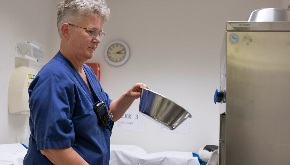 TRYGG JOBB: 22. mai 2014 er en merkedag i Madlands liv. Den dagen kom e-posten om at hun endelig hadde full jobb. TRYGG JOBB: 22. mai 2014 er en merkedag i Madlands liv. Den dagen kom e-posten om at hun endelig hadde full jobb.