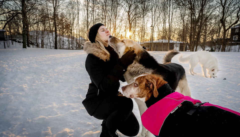 DRØMMEN: En hundepark hjemme i Hå, er Jeanette Lea Romslos drøm. Her med Lilly (rosa drakt), Kompis og Miks på Hundejordet i Frognerparken, ett av Oslos ti friområder for hund. DRØMMEN: En hundepark hjemme i Hå, er Jeanette Lea Romslos drøm. Her med Lilly (rosa drakt), Kompis og Miks på Hundejordet i Frognerparken, ett av Oslos ti friområder for hund.