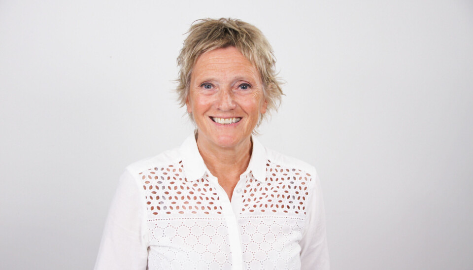 ANMELDER OFTERE: Anne Myhr, avdelingsdirektør i Helsetilsynet.