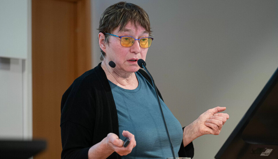 Kristine Nergaard er én av tre Fafo-forskere bak rapporten om bonuser.