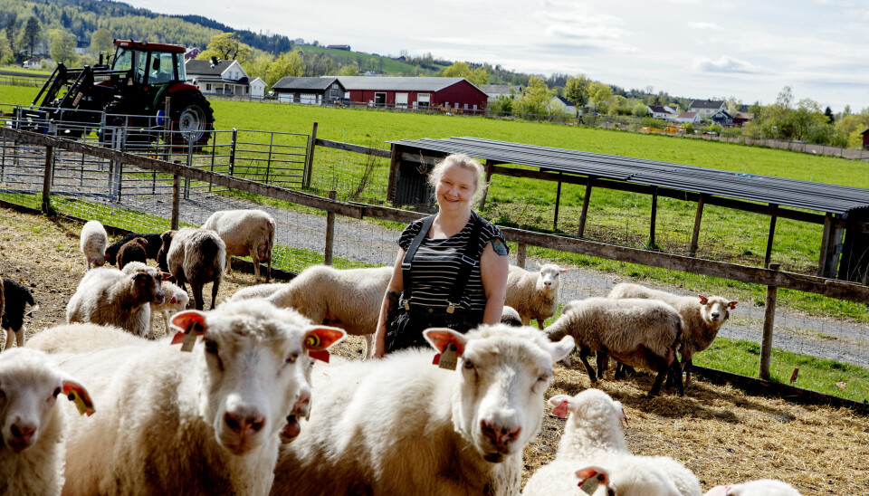 AKTIV HVERDAG: Anne Emilie forsto at hun måtte ha noe meningsfullt å drive med, dersom hun skulle klare å bli rusfri.