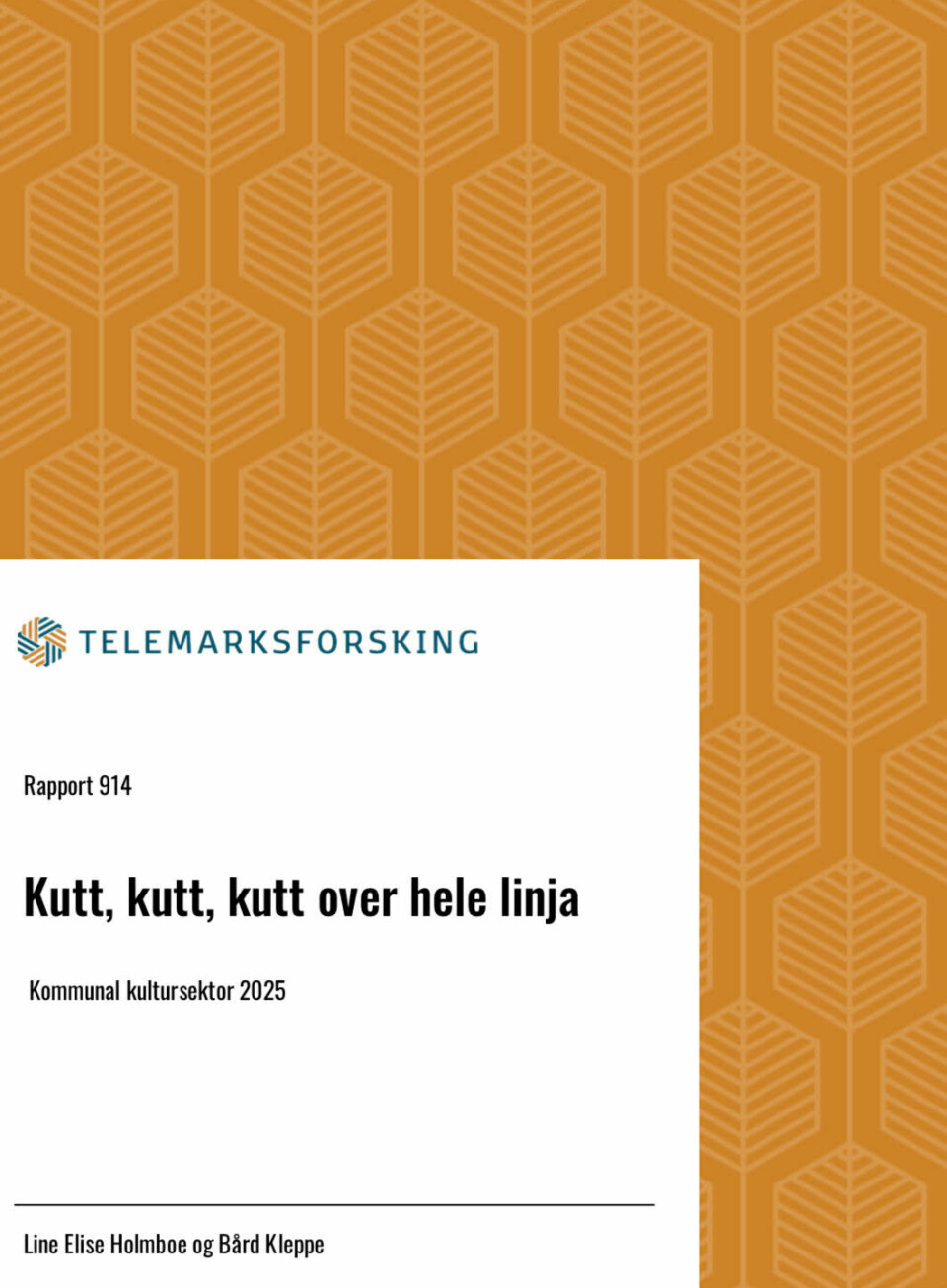 NY: Rapporten ble lagt fram tirsdag.