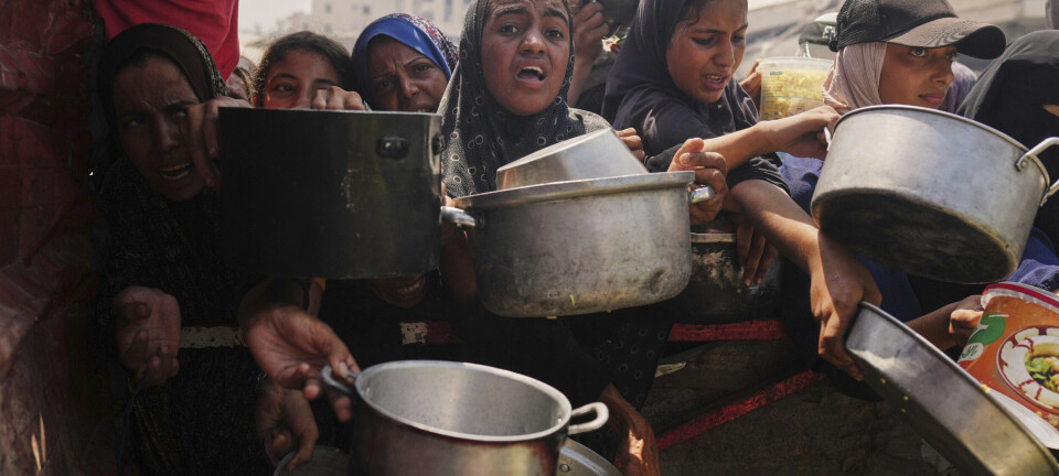 USA benekter at hungersnøden i Gaza skyldes mennesker