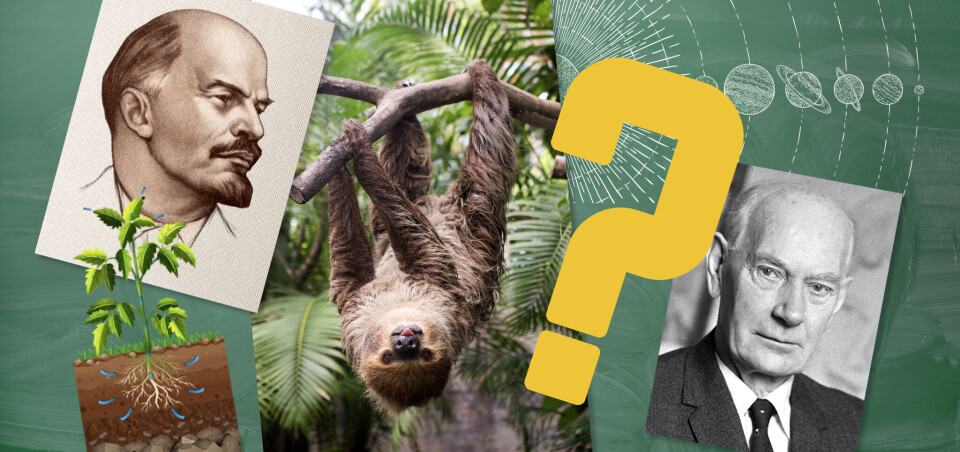 Fagbladets quiz: Hvor god var du i O-fag?