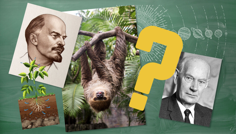 Fagbladets quiz: Hvor god var du i O-fag?