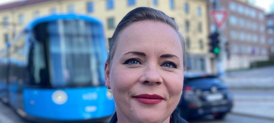 Frykter at små yrker overkjøres: – En farlig vei å gå