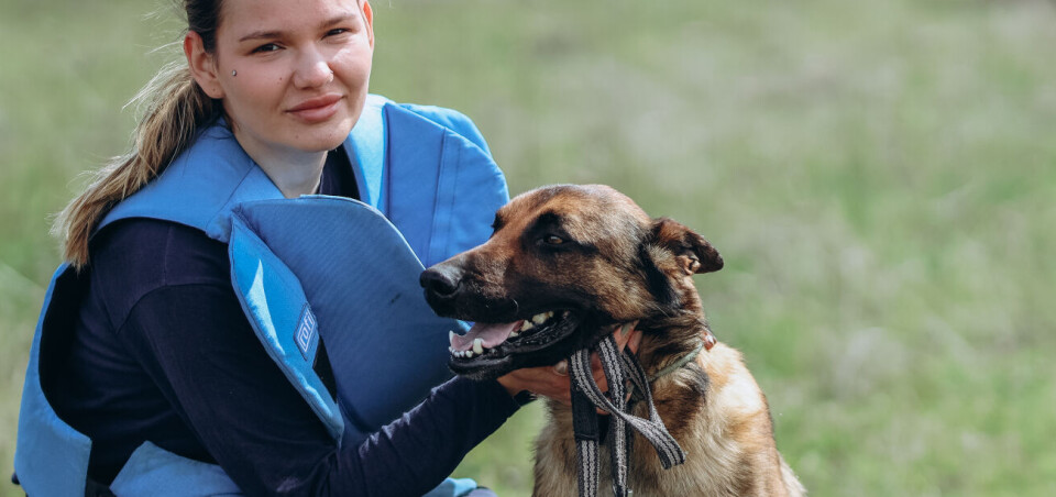 Møt Fagforbundets nye minehund