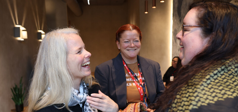 To SV-ere valgt inn i Fagforbundet-toppen