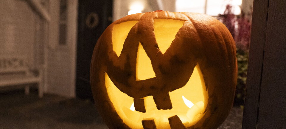 Halloween-gresskar skaper bry for avfallsarbeiderne: – Verste årstida