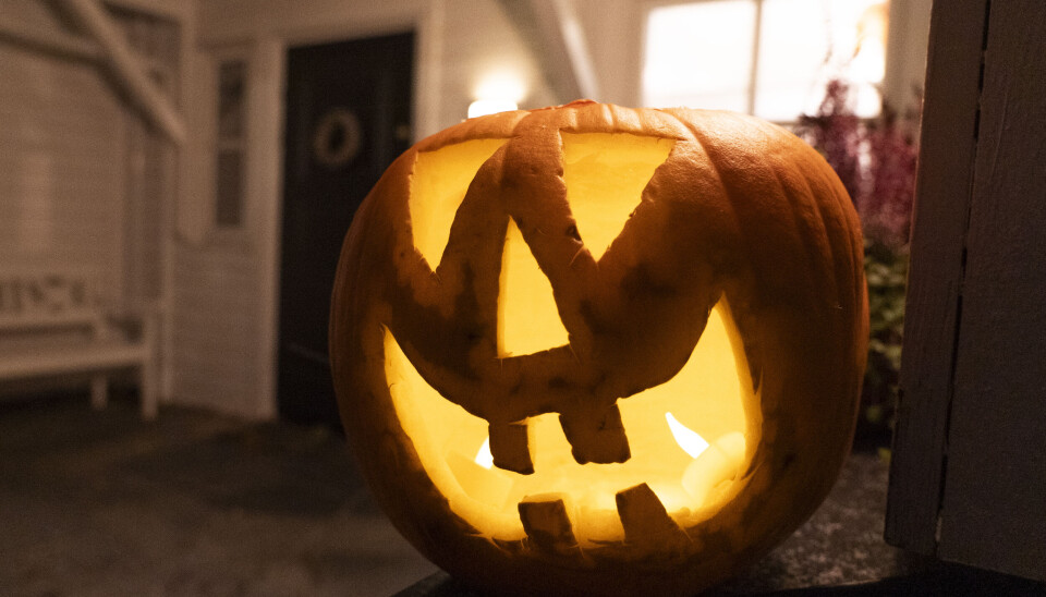 SKUMMELT: Gresskarene etter halloween skaper utfordringer for arbeiderne i avfallsanleggene.